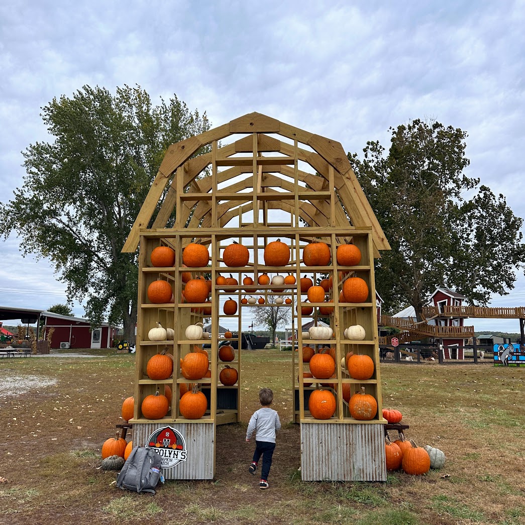 26-fun-kansas-city-fall-activities-for-families