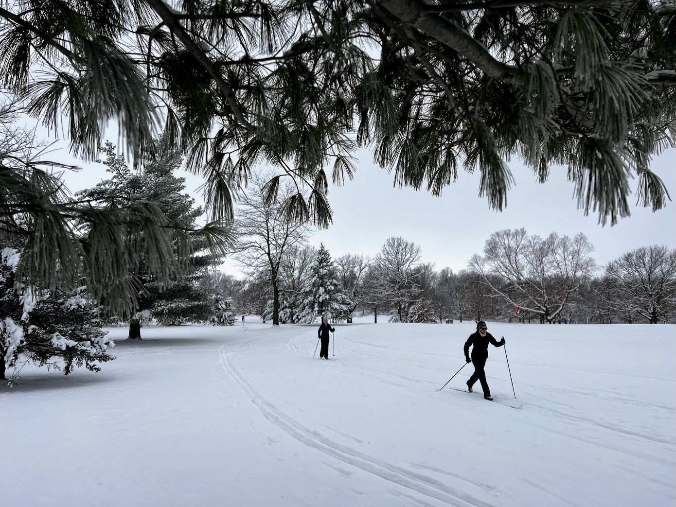 25 Fun Winter Outdoor Activities - Everyday Outdoor Family