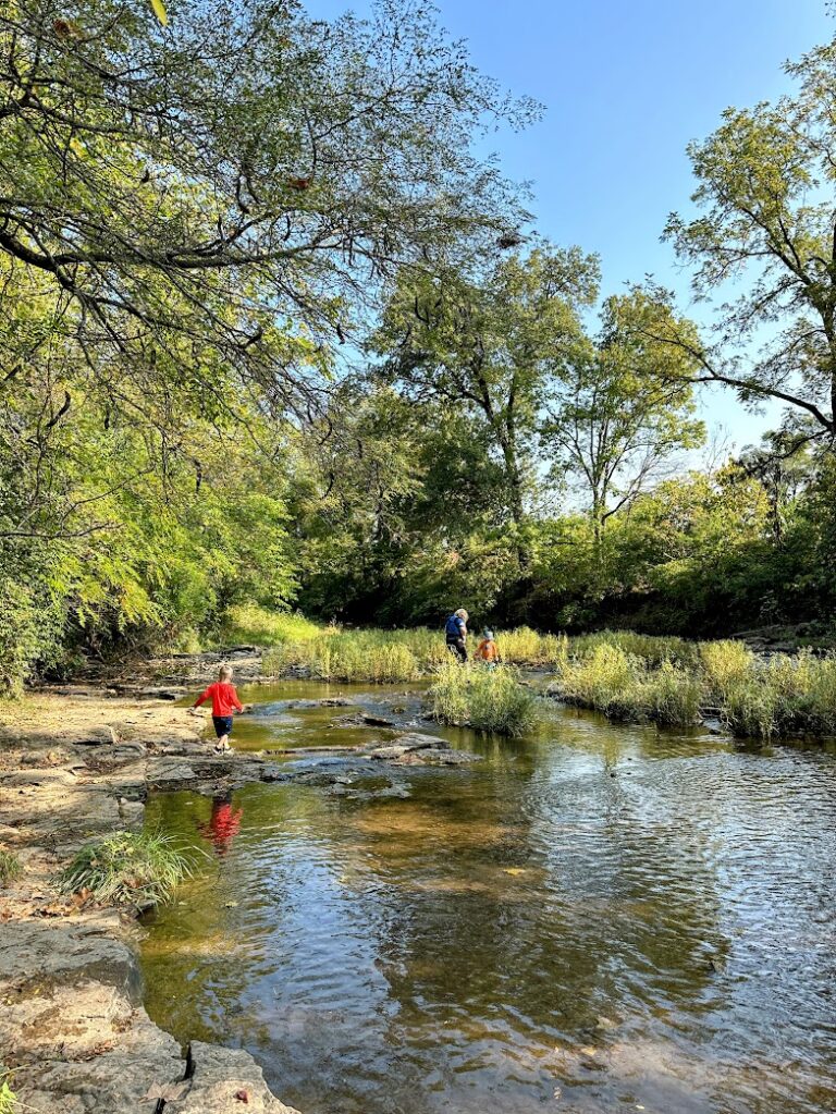 25 Fun Summer Outdoor Activities for Kids (with a FREE bingo board printable) 