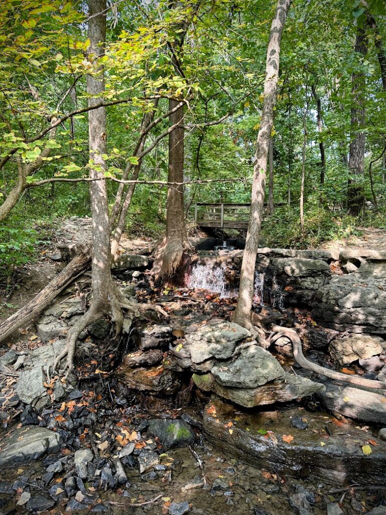 Waterfall trickling over rocks surrounded by lush green trees at Parkville Nature Sanctuary