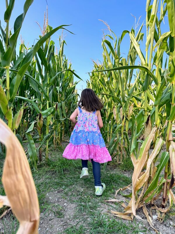 25 fun fall outdoor activities for kids with free bingo board
