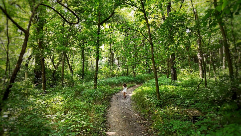 My daughter running down a trail at Martha Lafite Nature Sanctuary, a park in Liberty, Missouri
