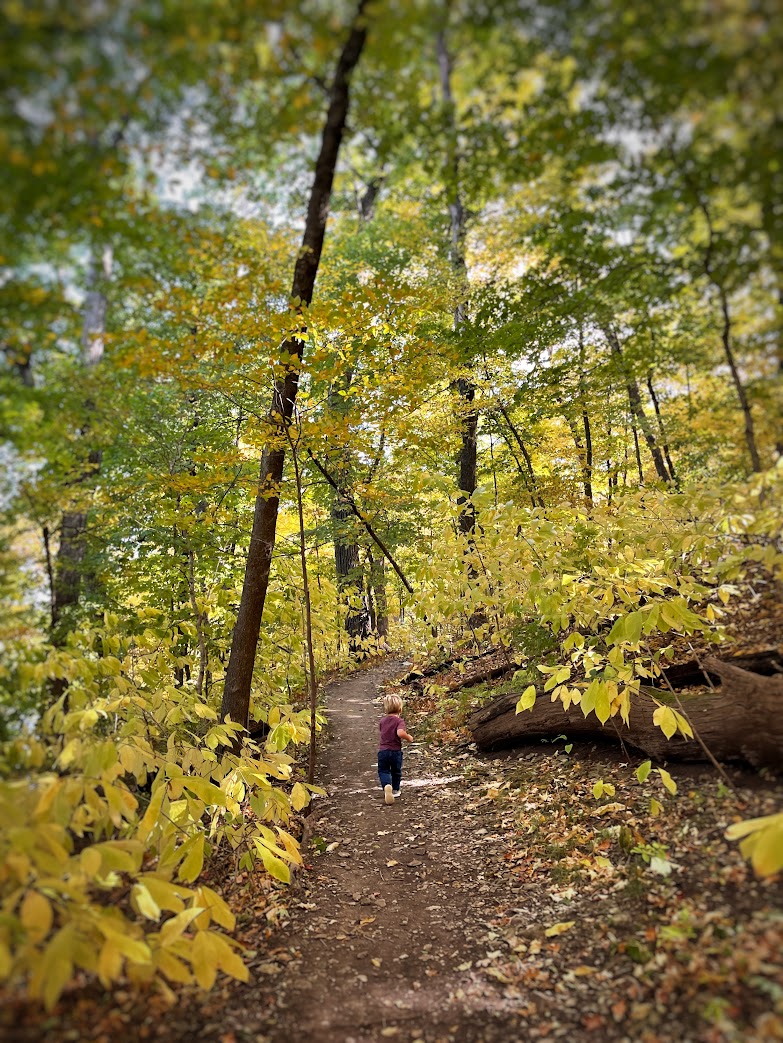 10 Best Places to See Fall Foliage in Kansas City - Everyday Outdoor Family