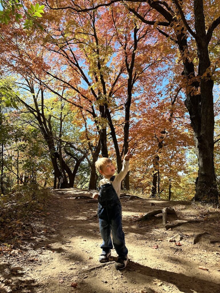 Boy pointing at colorful autumn leaves on a hiking trail in Missouri.