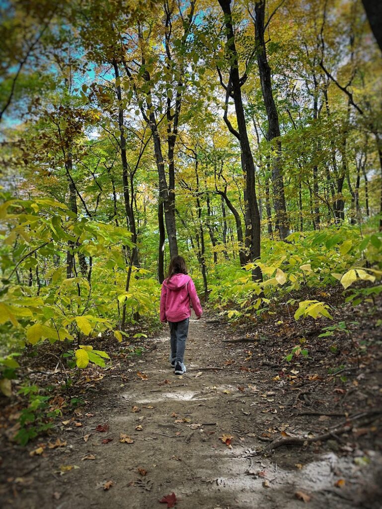 A young girl in a pink jacket hiking along a dirt path surrounded by green and yellow trees, a family-friendly way to experience fall foliage in Kansas City.