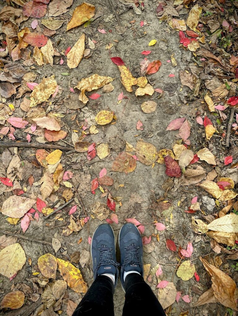 Close-up of hiking shoes standing on a trail covered in red, yellow, and brown leaves during peak fall foliage in Kansas City.