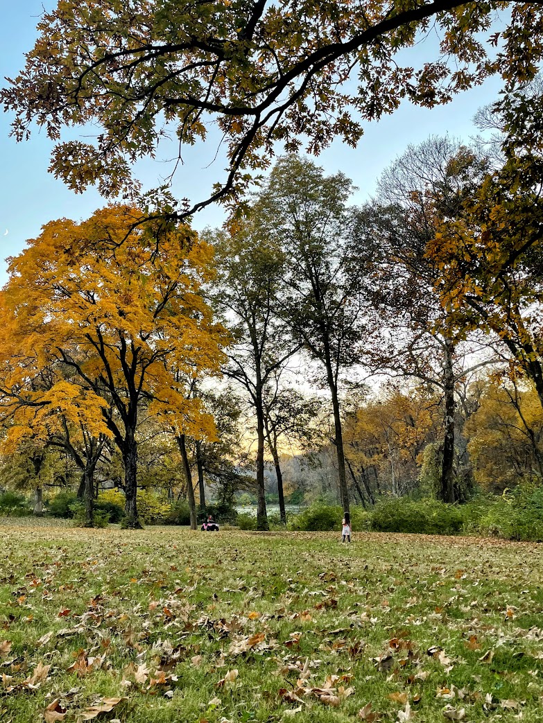 10 Best Places to See Fall Foliage in Kansas City - Everyday Outdoor Family
