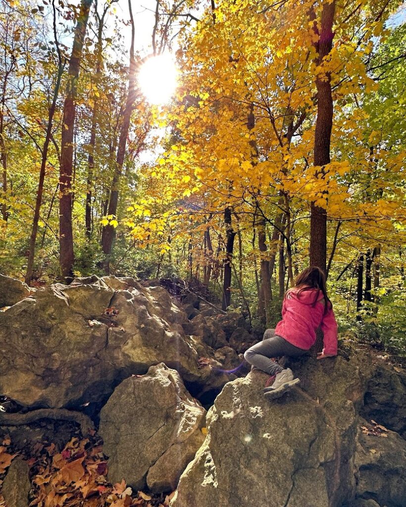 A girl in a pink jacket climbing boulders with sunlight glowing through golden trees, enjoying an adventurous day among the fall foliage in Kansas City.