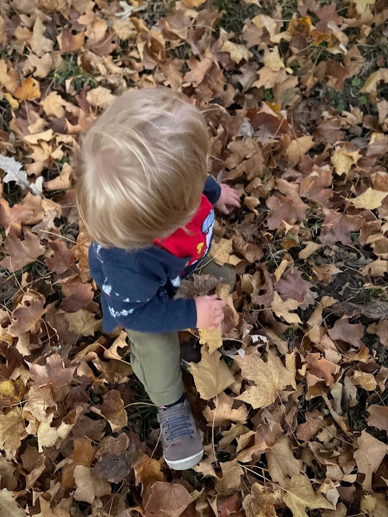Toddler playing in a big pile of fallen leaves, enjoying one of the simplest and most joyful fall outdoor activities for kids.