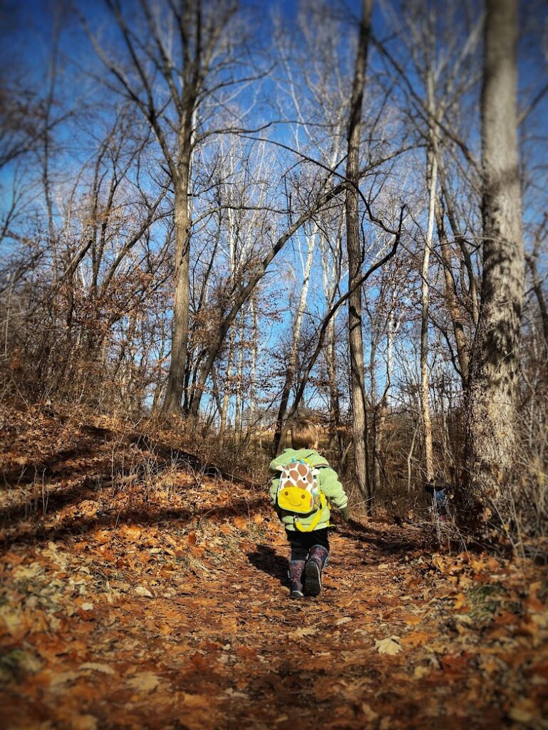 Child wearing a giraffe backpack hiking along a leaf-covered trail at Parkville Nature Sanctuary