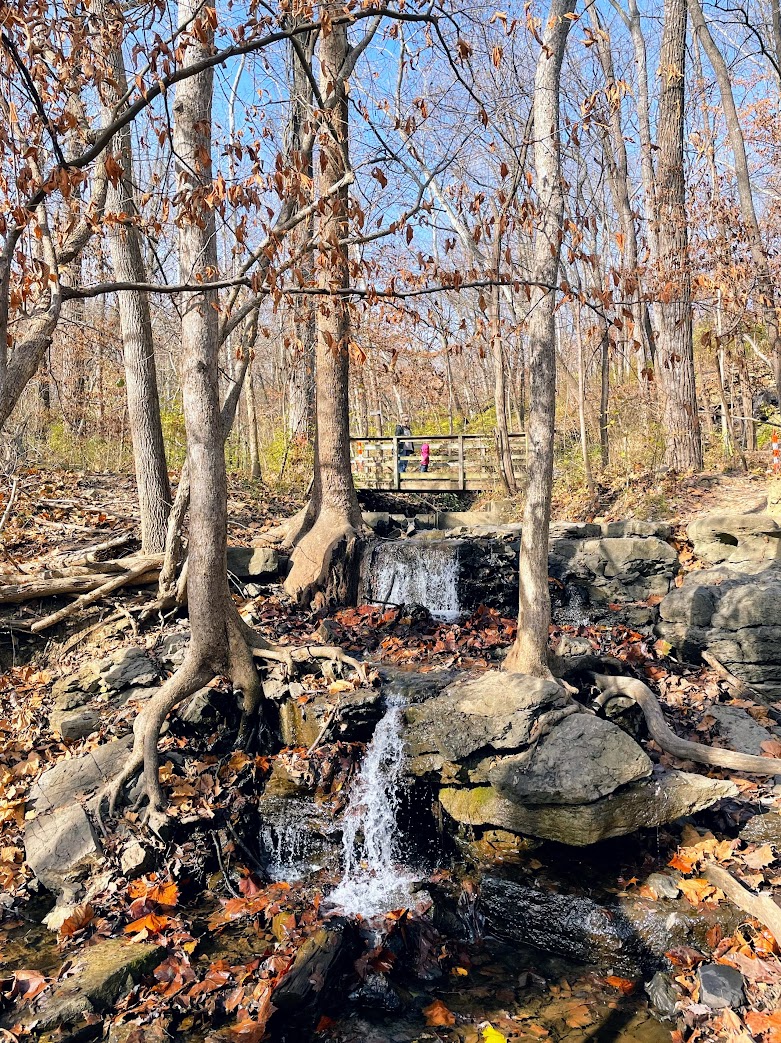 Hidden Gems and Hikes at Parkville Nature Sanctuary