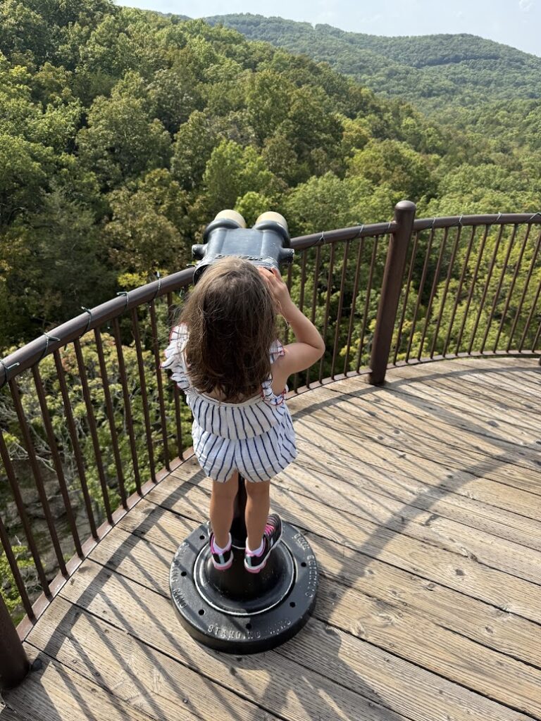 Take a break from searching for gluten free in Branson and soak in stunning Ozark views at Top of the Rock.