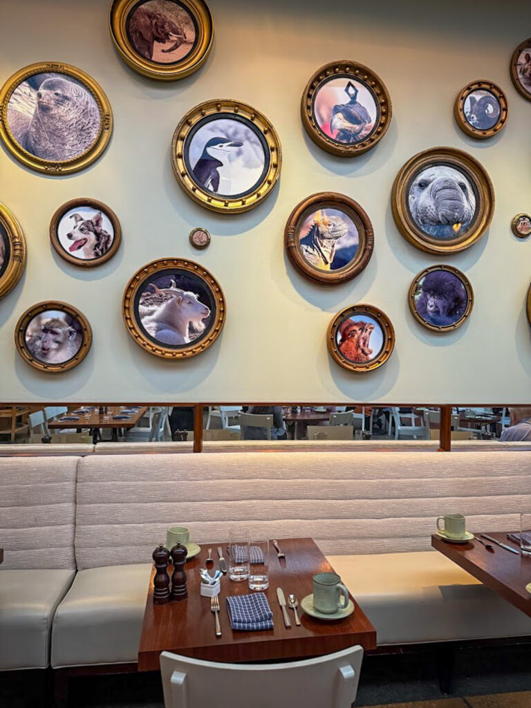 Unique Bentonville restaurant interior with animal portrait wall and gluten free dining options